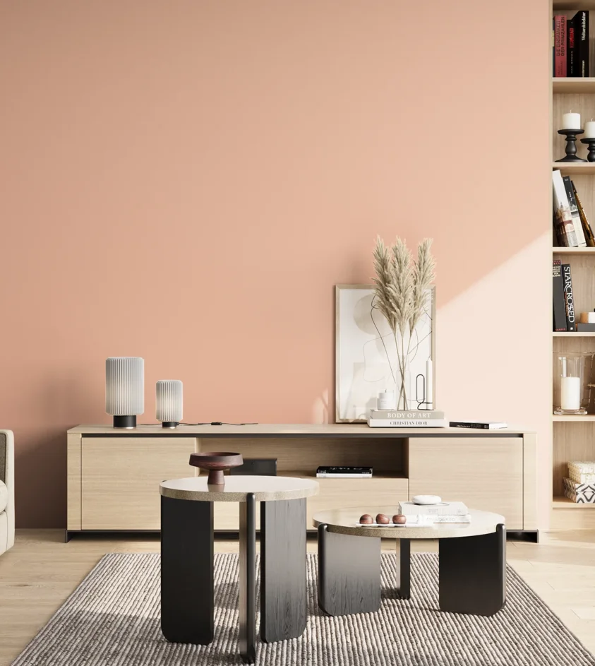 P10_SNIEZKA_salon_02_poludnie_GREY_S0520-Y70R