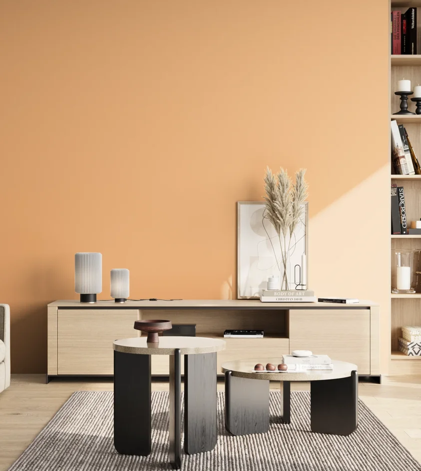 P10_SNIEZKA_salon_02_poludnie_GREY_S0530-Y40R