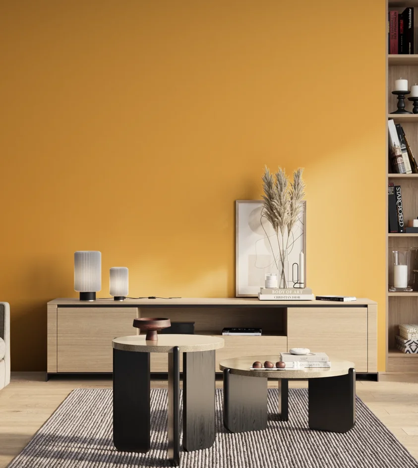 P10_SNIEZKA_salon_01_poranek_GREY_S0560-Y20R