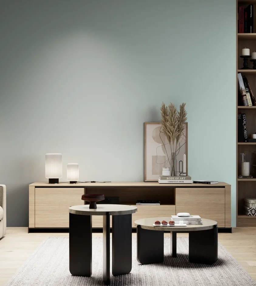 P10_SNIEZKA_salon_05_zimne_GREY_S1010-B50G
