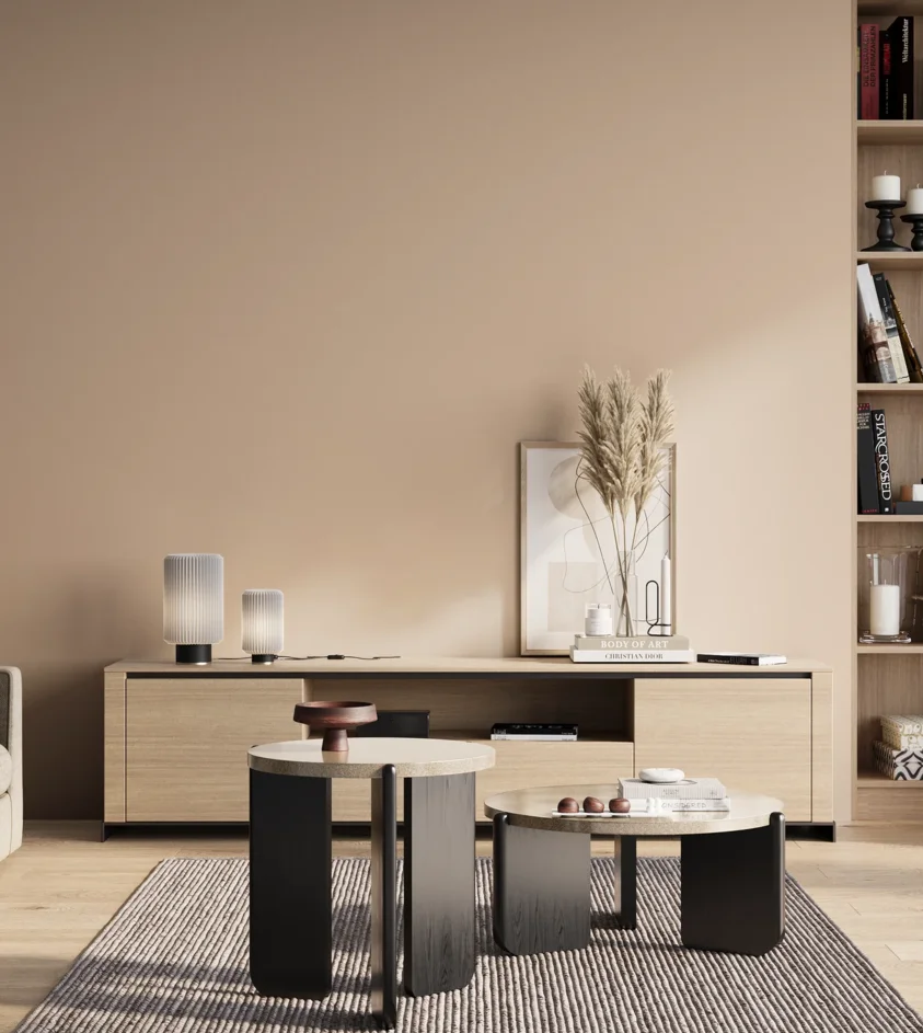 P10_SNIEZKA_salon_01_poranek_GREY_S1010-Y60R