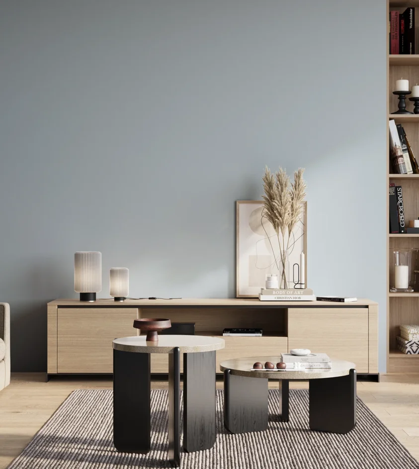 P10_SNIEZKA_salon_01_poranek_GREY_S1015-R90B