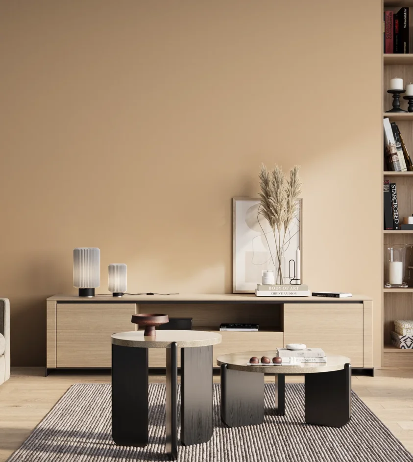 P10_SNIEZKA_salon_01_poranek_GREY_S1015-Y40R