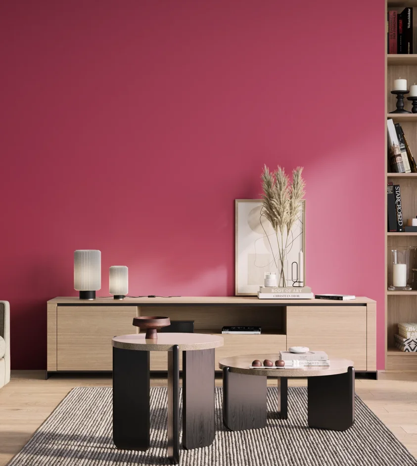 P10_SNIEZKA_salon_01_poranek_GREY_S1070-R20B