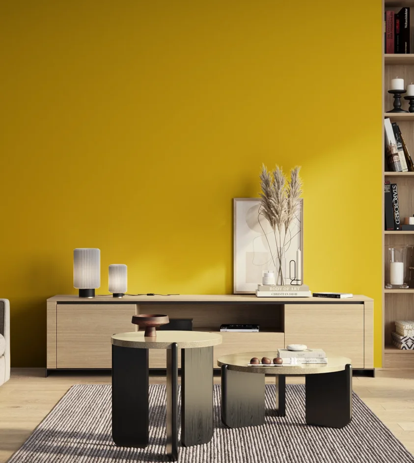 P10_SNIEZKA_salon_01_poranek_GREY_S1080-Y