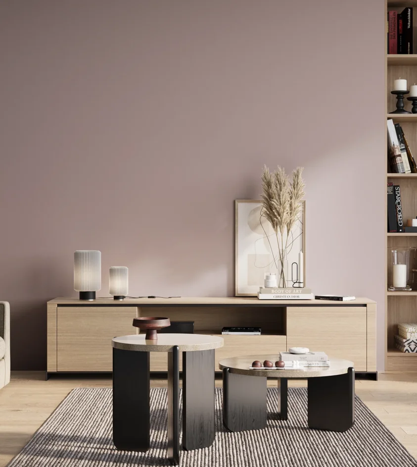 P10_SNIEZKA_salon_01_poranek_GREY_S2010-R20B