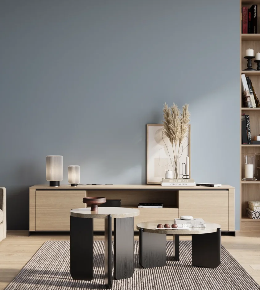 P10_SNIEZKA_salon_01_poranek_GREY_S2020-R90B