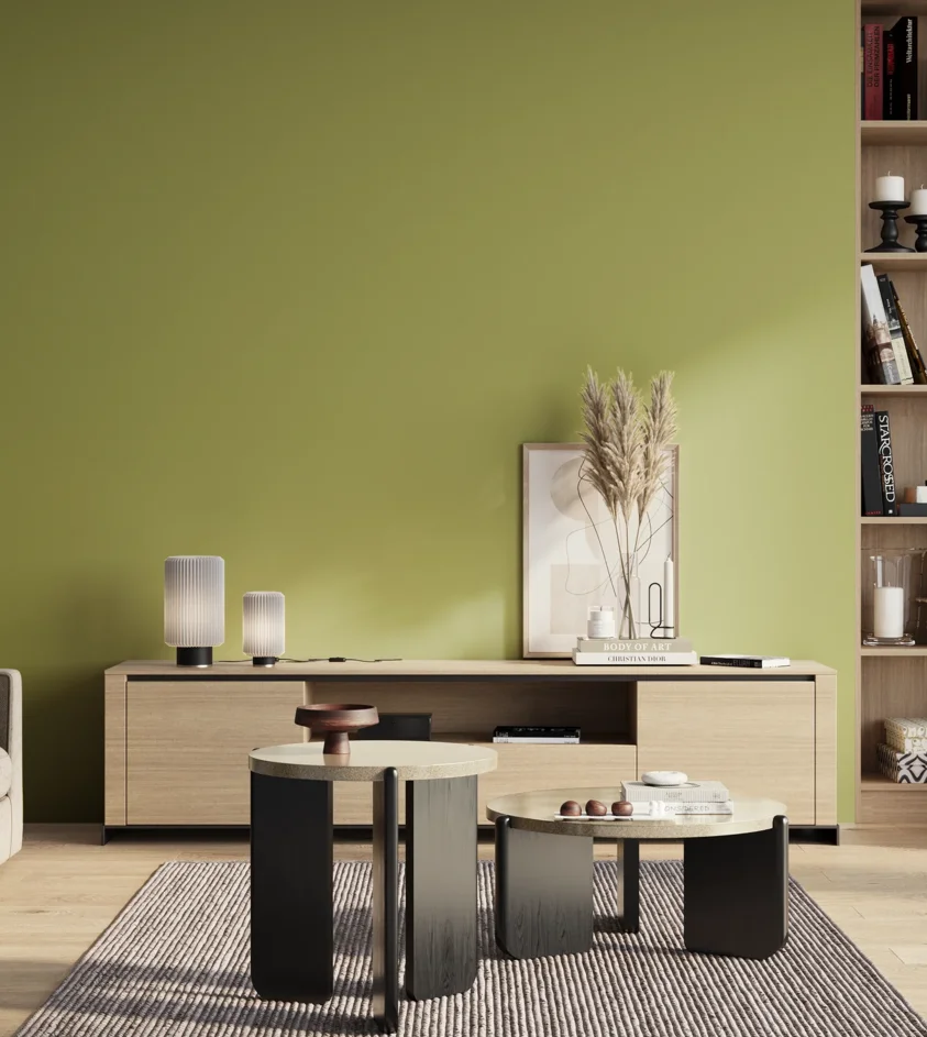 P10_SNIEZKA_salon_01_poranek_GREY_S2040-G60Y