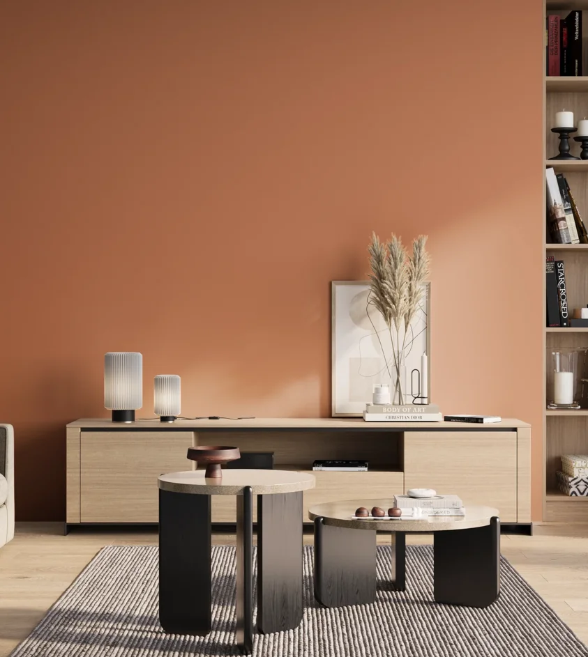 P10_SNIEZKA_salon_01_poranek_GREY_S2040-Y60R