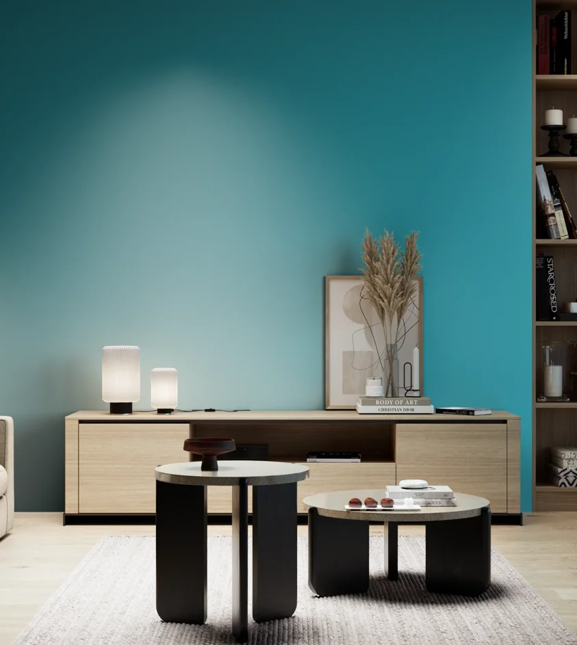 P10_SNIEZKA_salon_05_zimne_GREY_S2050-B20G