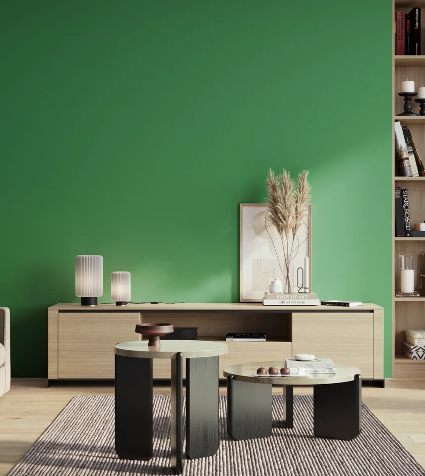 P10_SNIEZKA_salon_01_poranek_GREY_S2060-G10Y