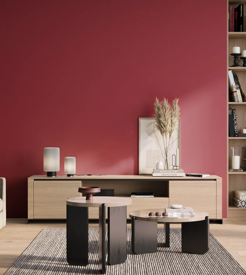 P10_SNIEZKA_salon_01_poranek_GREY_S2070-R10B