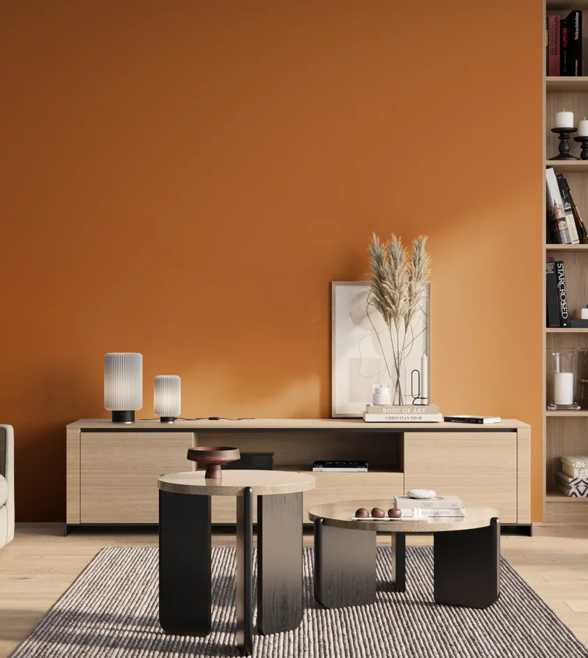P10_SNIEZKA_salon_01_poranek_GREY_S2070-Y40R