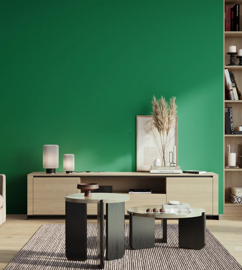 P10_SNIEZKA_salon_01_poranek_GREY_S2565-G