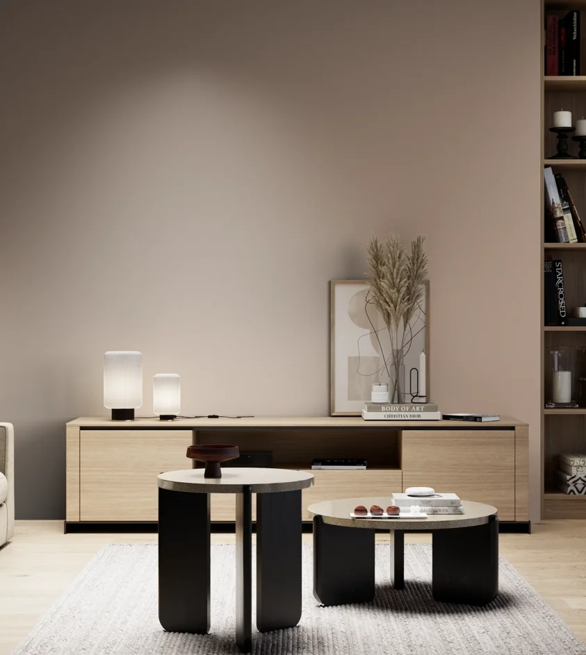 P10_SNIEZKA_salon_05_zimne_GREY_S3010-Y60R