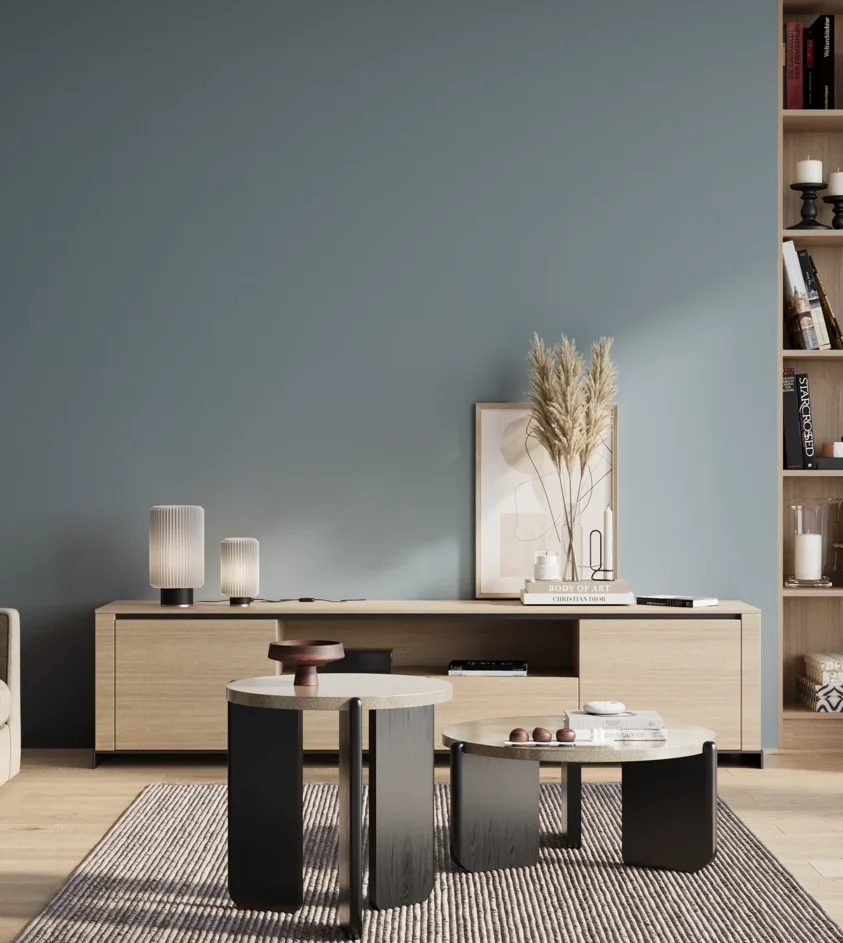 P10_SNIEZKA_salon_01_poranek_GREY_S3020-B
