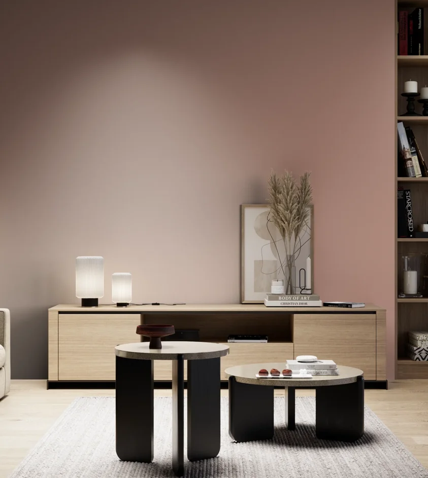 P10_SNIEZKA_salon_05_zimne_GREY_S3020-Y80R
