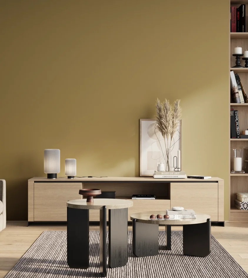 P10_SNIEZKA_salon_01_poranek_GREY_S3030-Y