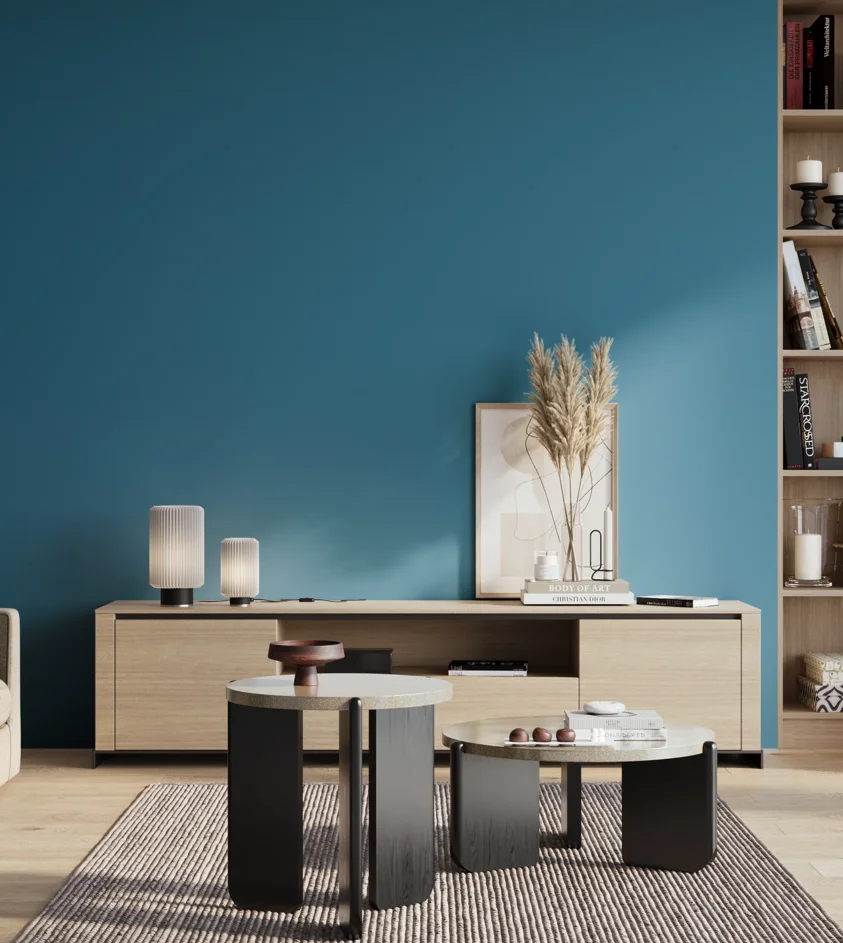 P10_SNIEZKA_salon_01_poranek_GREY_S3050-B
