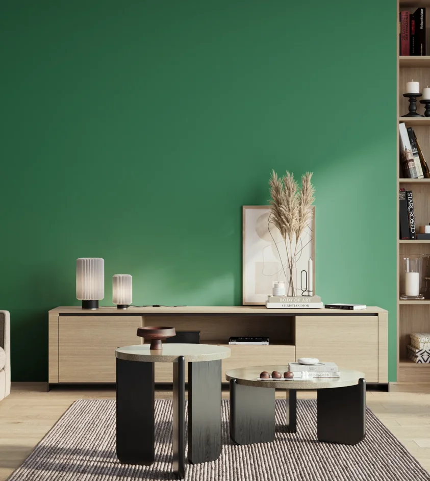 P10_SNIEZKA_salon_01_poranek_GREY_S3050-G