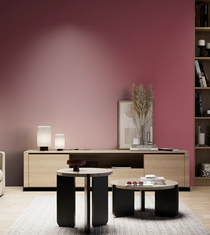 P10_SNIEZKA_salon_05_zimne_GREY_S3050-R10B