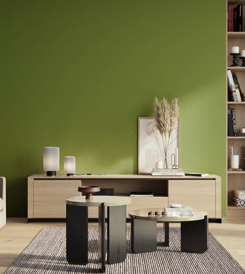 P10_SNIEZKA_salon_01_poranek_GREY_S3060-G40Y