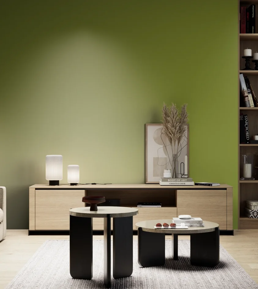 P10_SNIEZKA_salon_05_zimne_GREY_S3060-G50Y