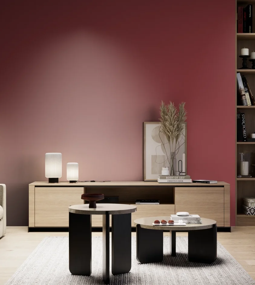 P10_SNIEZKA_salon_05_zimne_GREY_S3060-R