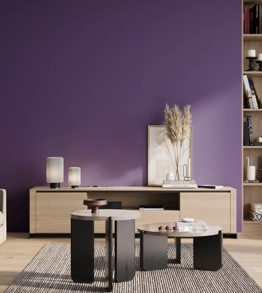 P10_SNIEZKA_salon_01_poranek_GREY_S3555-R60B