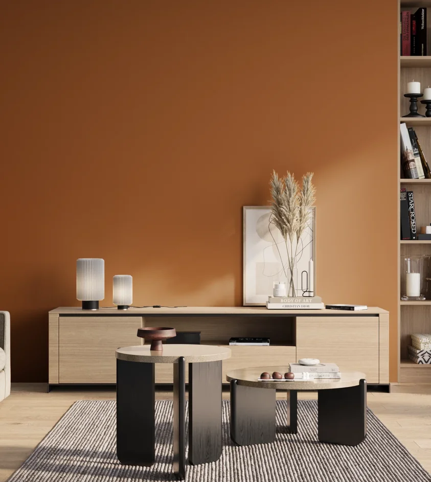P10_SNIEZKA_salon_01_poranek_GREY_S3560-Y40R