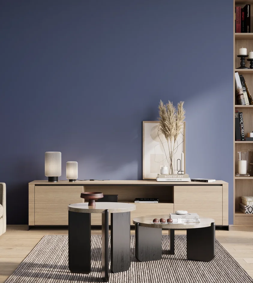P10_SNIEZKA_salon_01_poranek_GREY_S4040-R80B
