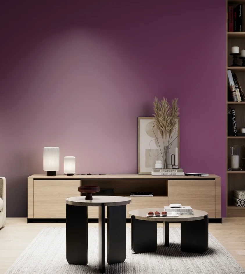 P10_SNIEZKA_salon_05_zimne_GREY_S4050-R40B
