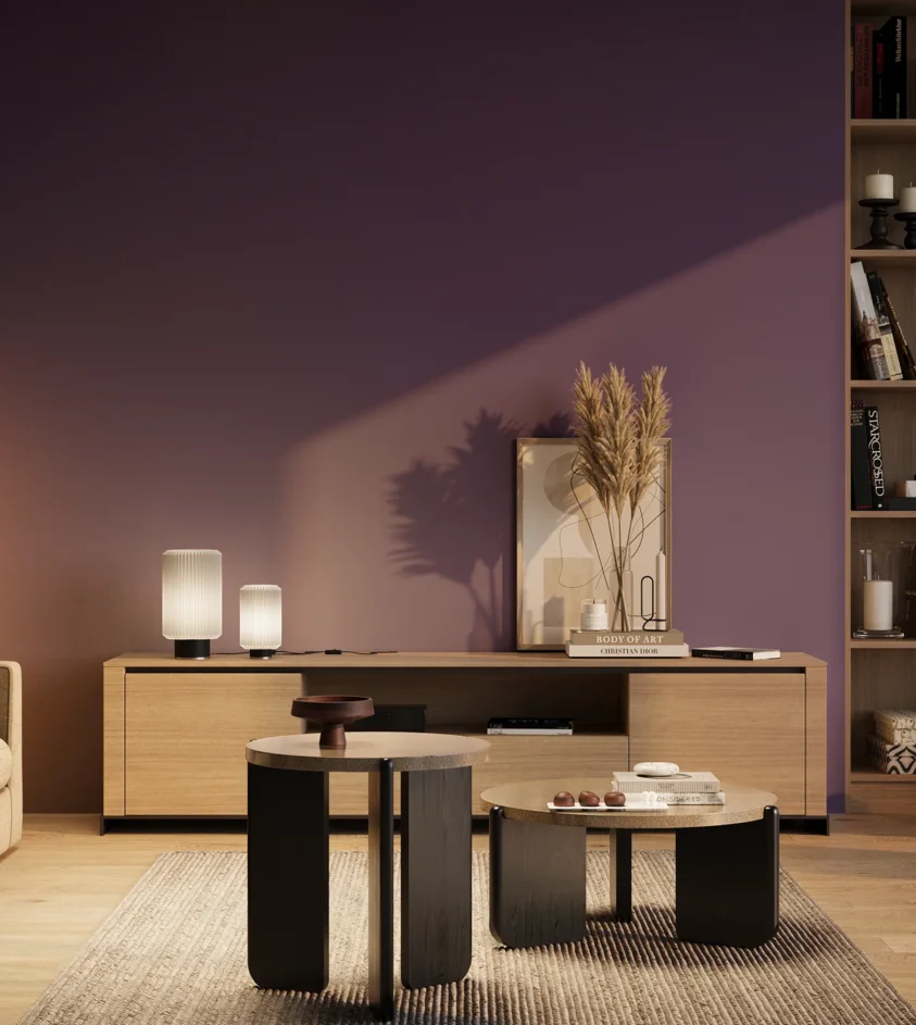 P10_SNIEZKA_salon_03_wieczor_GREY_S4050-R60B