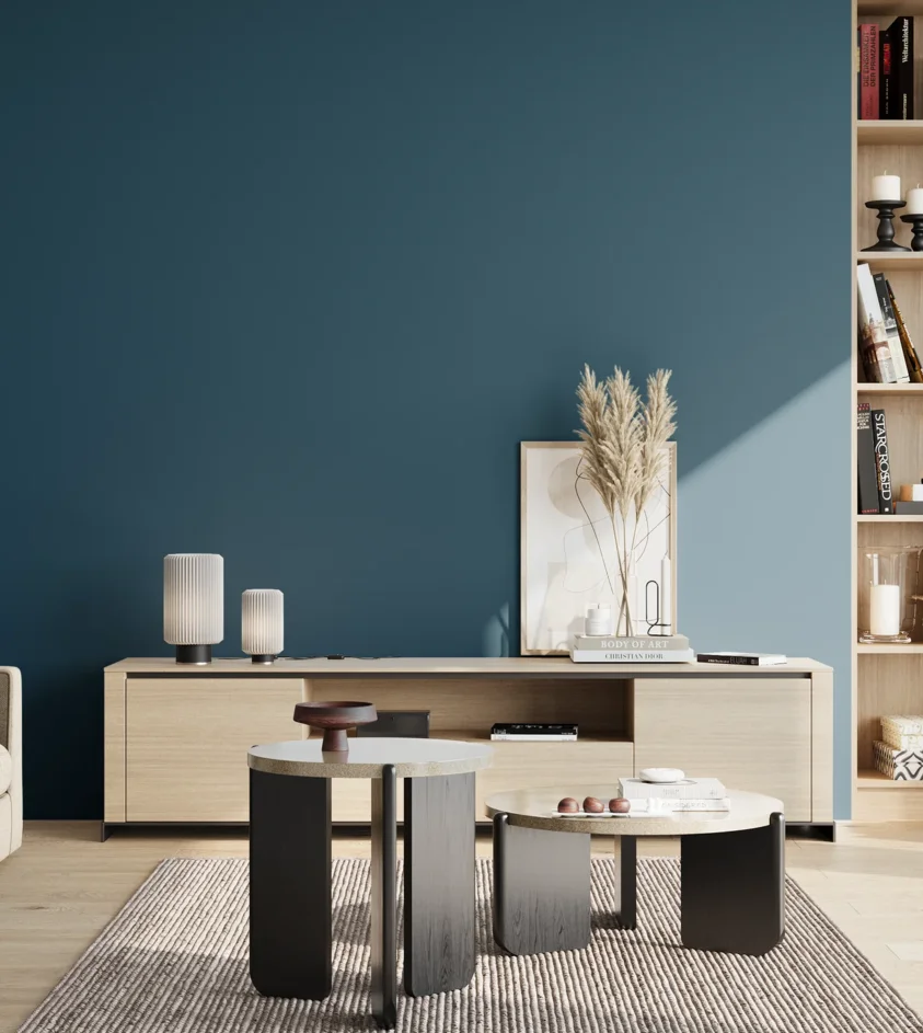 P10_SNIEZKA_salon_02_poludnie_GREY_S5540-B