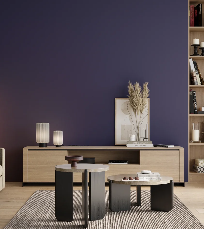 P10_SNIEZKA_salon_00_neutral_GREY_S5540-R70B