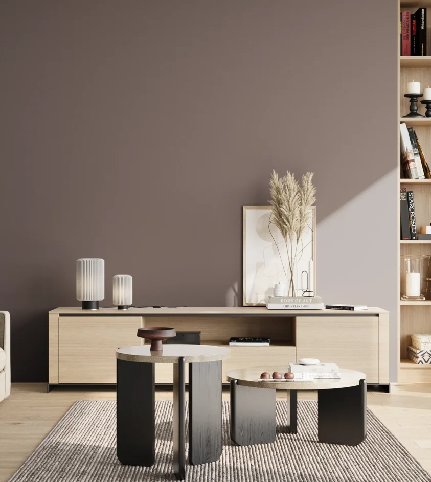P10_SNIEZKA_salon_02_poludnie_GREY_S6005-R20B