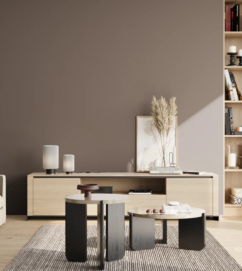 P10_SNIEZKA_salon_02_poludnie_GREY_S6005-Y80R