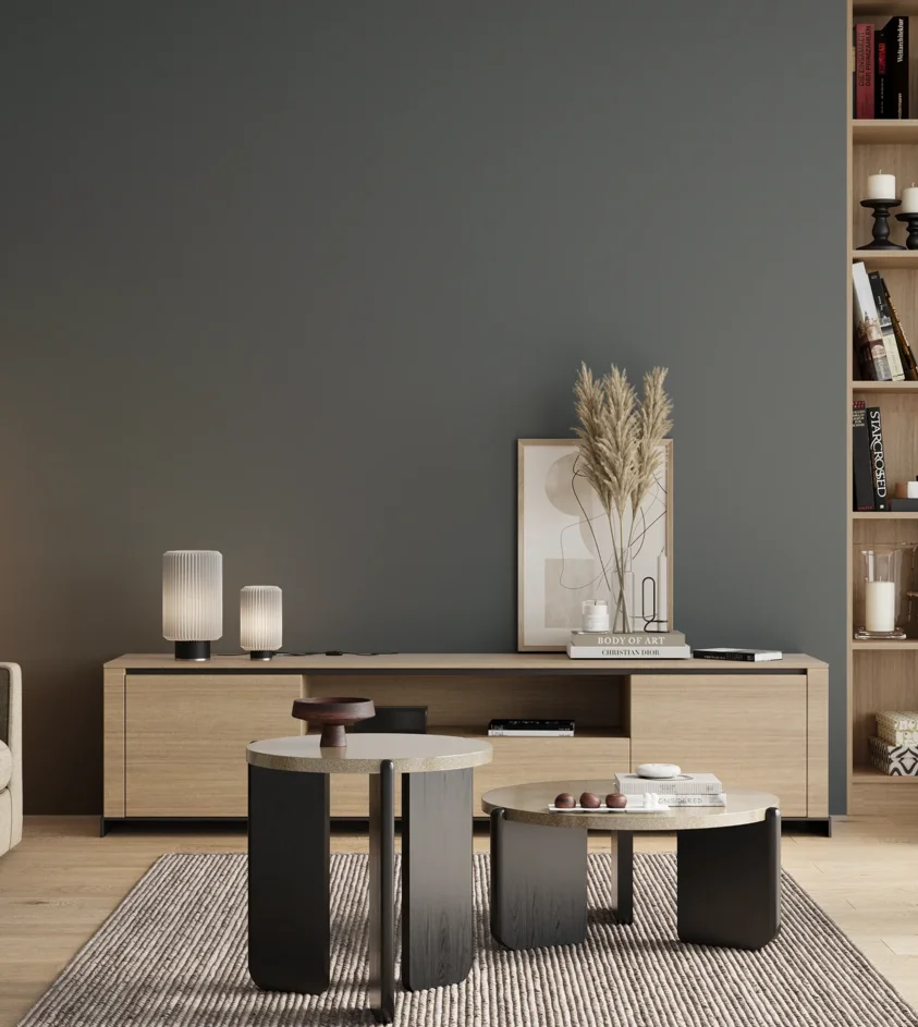 P10_SNIEZKA_salon_00_neutral_GREY_S6010-B10G