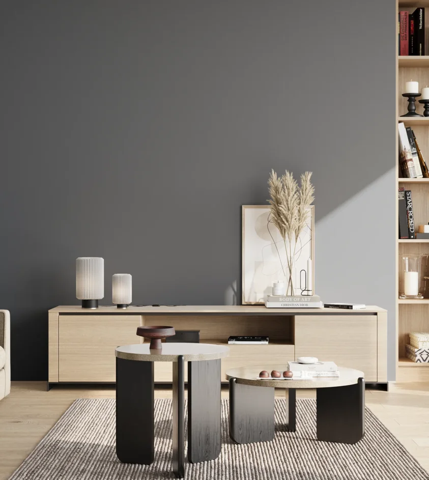 P10_SNIEZKA_salon_02_poludnie_GREY_S6010-R90B