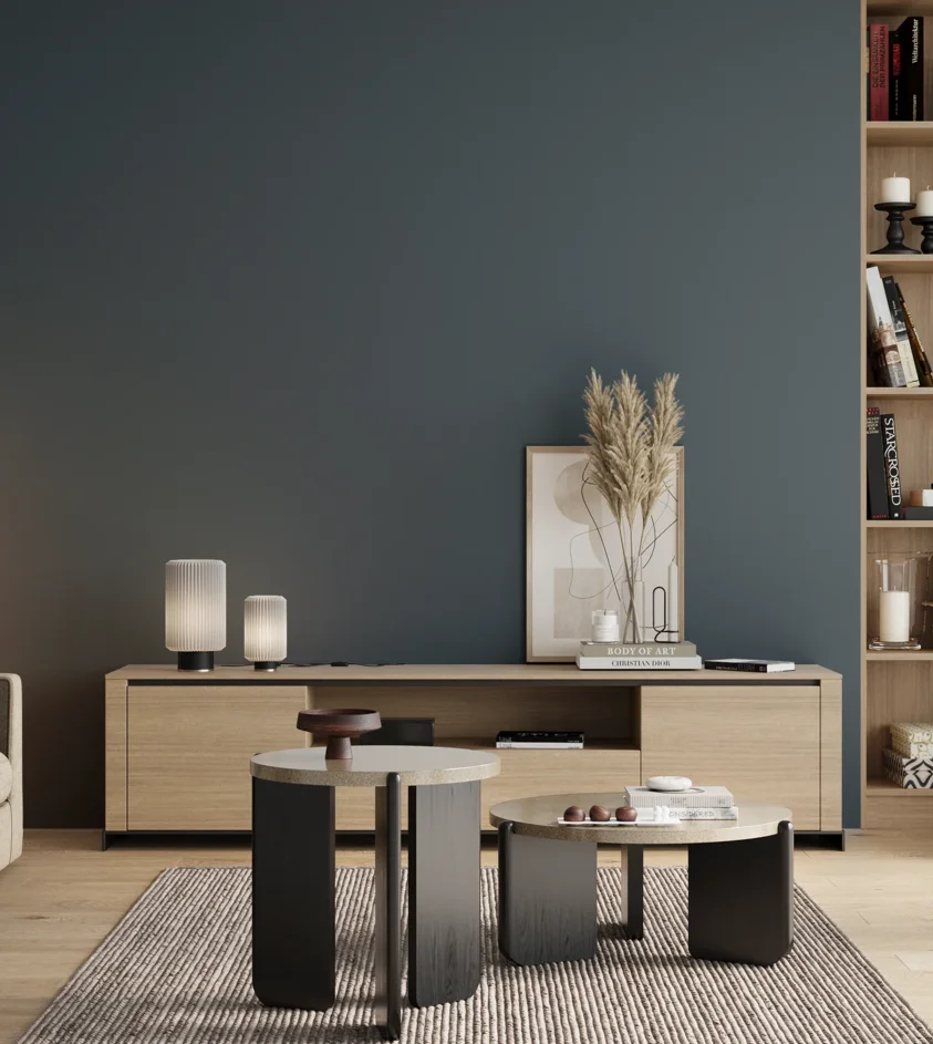 P10_SNIEZKA_salon_00_neutral_GREY_S6020-B
