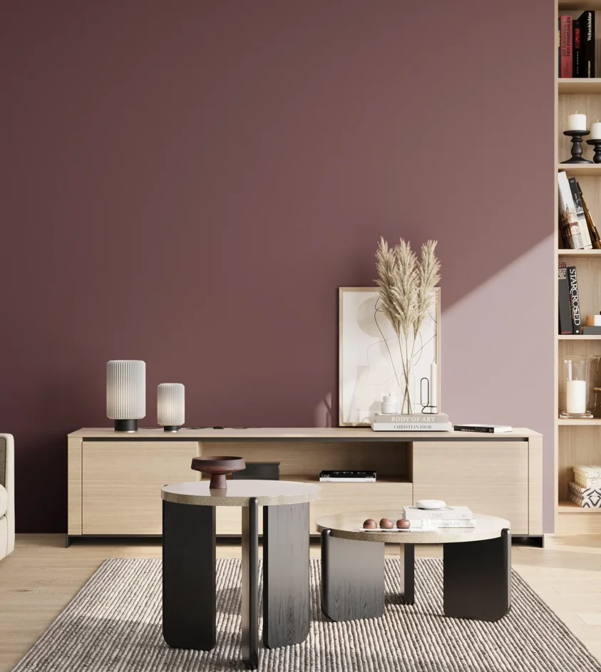 P10_SNIEZKA_salon_02_poludnie_GREY_S6020-R20B