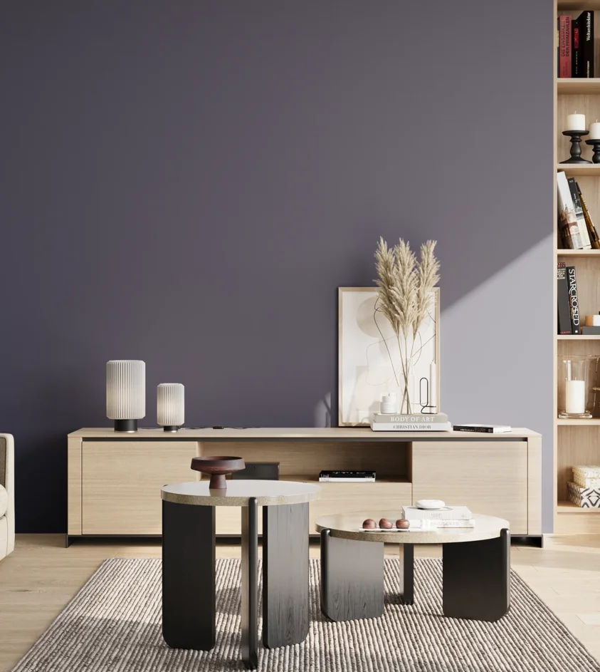 P10_SNIEZKA_salon_02_poludnie_GREY_S6020-R70B