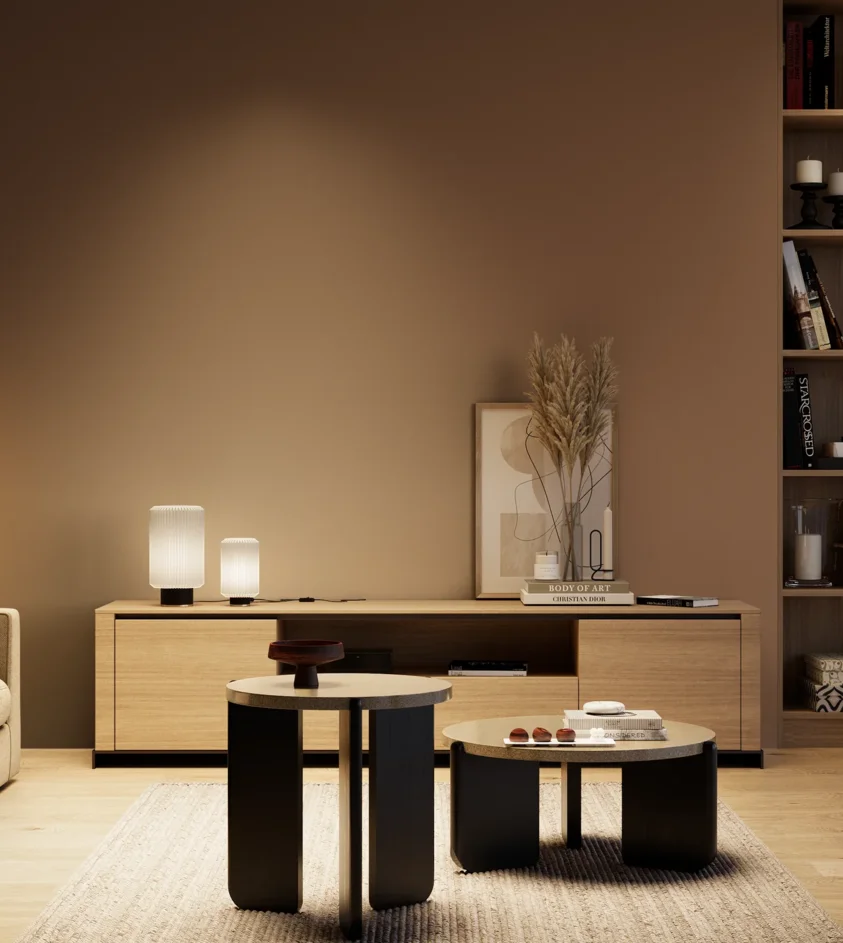 P10_SNIEZKA_salon_04_cieple_GREY_S6020-Y50R