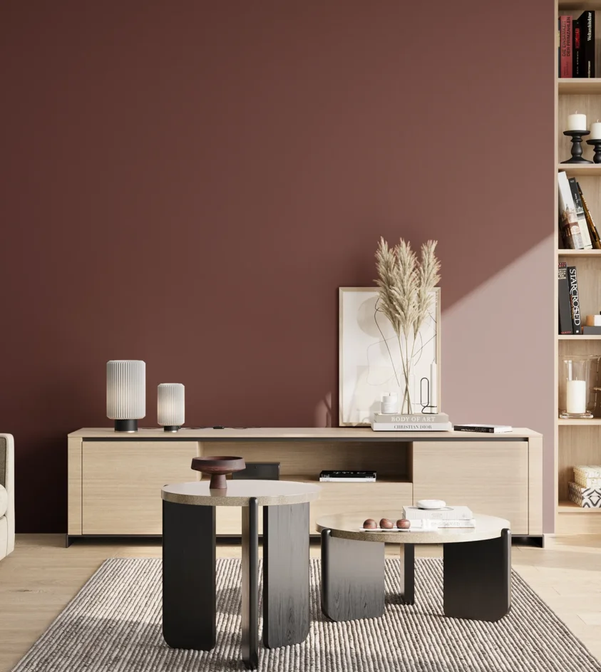 P10_SNIEZKA_salon_02_poludnie_GREY_S6030-R