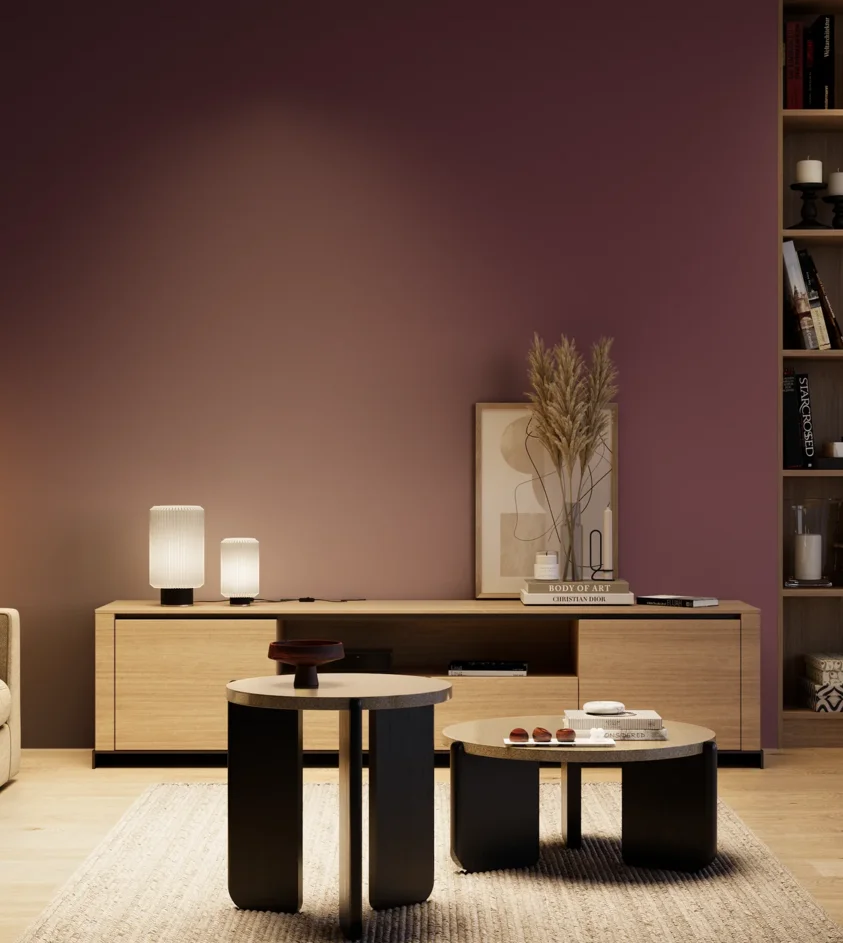 P10_SNIEZKA_salon_04_cieple_GREY_S6030-R30B