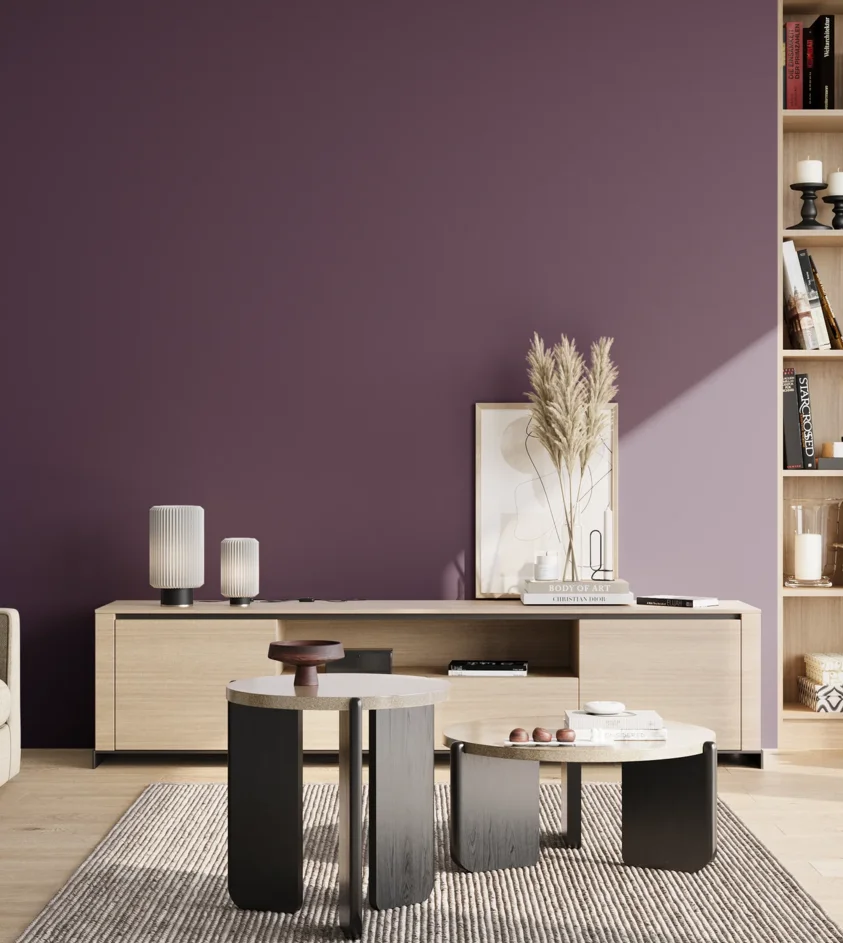 P10_SNIEZKA_salon_02_poludnie_GREY_S6030-R50B
