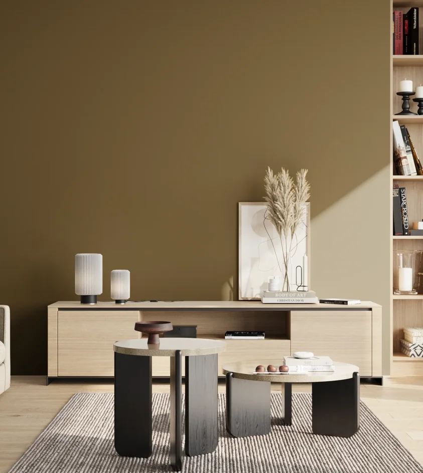 P10_SNIEZKA_salon_02_poludnie_GREY_S6030-Y