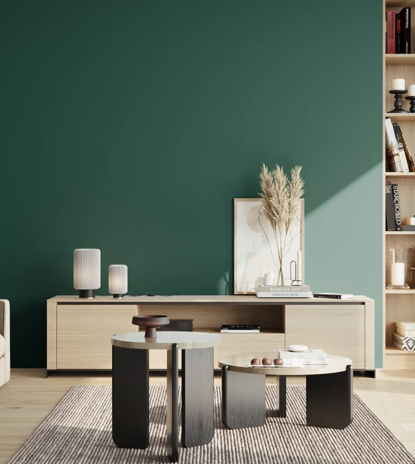 P10_SNIEZKA_salon_02_poludnie_GREY_S6035-B60G