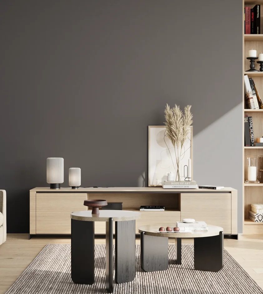 P10_SNIEZKA_salon_02_poludnie_GREY_S7005-R80B