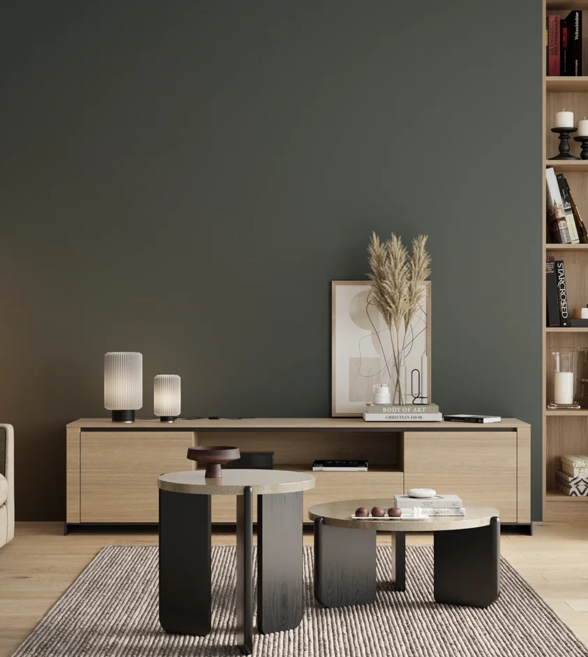 P10_SNIEZKA_salon_00_neutral_GREY_S7010-B50G